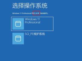 开机选择系统界面等待30秒如何取消
